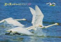 エースひかりのくに　おはなし絵本　第7巻第8号　75年（昭和50年）11月号（第80号）もみじやまのとうりょう　エースひかりのくにグラフ・11（12P　B5）つき