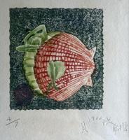 版画　貝