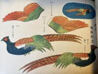 学校家庭　厚紙キリヌキ組立細工　手工学習