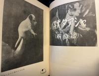 小犬日記