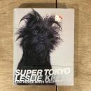 SUPER TOKYO Leslie Kitty 1,000 People meets Hello Kitty