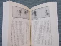 山水思想 ： 「負」の想像力