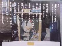 月刊 建築雑誌  特集「建築展という敷地」  2025年5月号