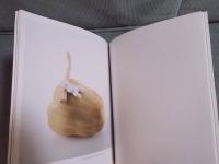 京人形司十四世面庄　面屋庄甫の世界 ： 伝統を踏まえて