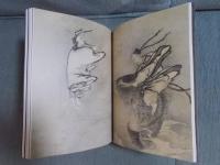 雪村   奇想の誕生