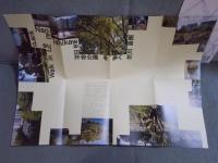 日比谷公園を歩くWalk in the park