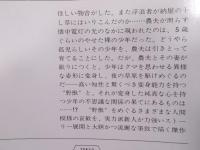 野獣の書 ： ①「孤児」 ②「虜囚」 ③「野獣」 
 
