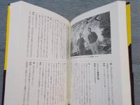 羊頭狗肉 ： のんだくれ時評65選