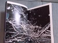 ＩＮ　ＴＨＥ　ＨＥＡＤＬＩＧＨＴＳ