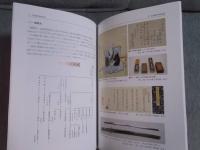 北武蔵剣術物語 ： 川越藩剣術師範大川平兵衛とその時代