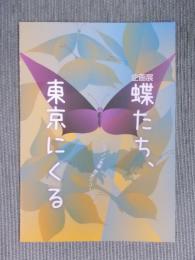 蝶たち、東京にくる ： 企画展