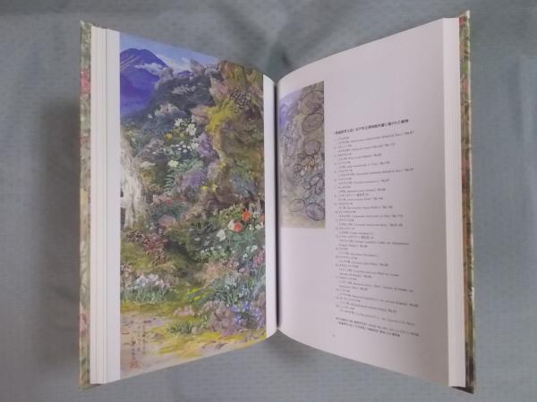 五百城文哉展 ： Bunsai Ioki(図録) / 古本、中古本、古書籍の通販は