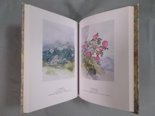 五百城文哉展 ： Bunsai Ioki(図録) / 古本、中古本、古書籍の通販は