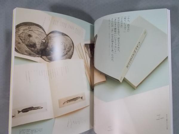 ideaアイデア 367号 特集「日本オルタナ文学誌 1945-1969 戦後・活字