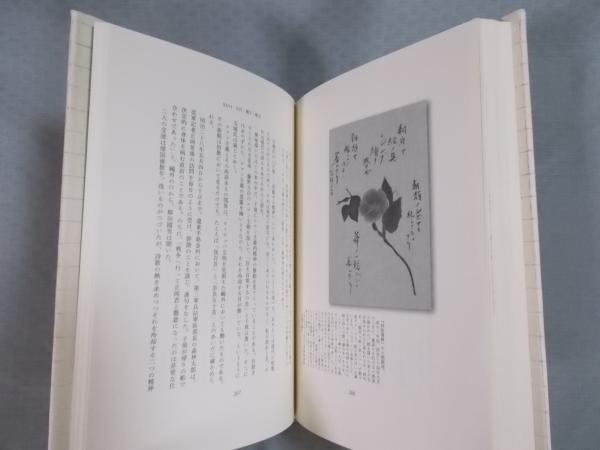 遊歩のグラフィスム(平出隆) / 古本、中古本、古書籍の通販は
