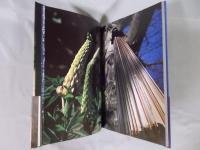 中平卓馬 ： Documentary(中平卓馬) / 古本、中古本、古書籍の通販は