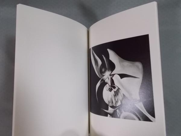 五木田智央TOMOO GOKITA “Holy Cow” | 展覧会図録 | ¥3,000 - 日本の