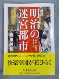 増補　明治の迷宮都市 ： 東京・大阪の遊楽空間 