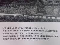 長崎 幻の響写真館 ： 井手傳次郎と八人兄妹物語(根本千絵 取材・編集