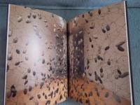 WEB & METAMORPHOSIS　山口由理子展　＜今日の作家Ⅸ＞