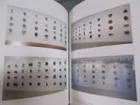 WEB & METAMORPHOSIS　山口由理子展　＜今日の作家Ⅸ＞