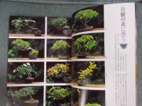 銀花 第131号  特集①「掌中の森―小(ちび)盆栽の愉快」②「人形師ホリ・ヒロシの雪月花」  2002年秋号