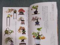 銀花 第131号  特集①「掌中の森―小(ちび)盆栽の愉快」②「人形師ホリ・ヒロシの雪月花」  2002年秋号