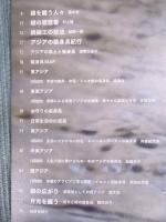 聖なる銀 = SACRED SILVER ： アジアの装身具 