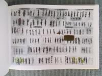 John Lurie ジョン・ルーリー(画：ジョン・ルーリー 企画