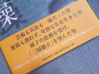 少年曹操