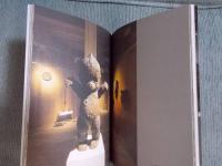 柴川敏之展 ： 41世紀の蒜山博物館