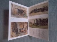 線と色のきらめき ： 五姓田義松 作品選