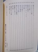 夢想の研究 ： 活字と映像の想像力 