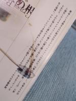ideaアイデア  328号  特集「デザインの草の根」  2008年5月号