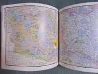 昭和30年代東京散歩 ： 古地図・現代図で歩く 