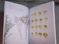美しい押し花図譜