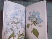 美しい押し花図譜