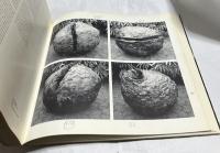 仏文)ルーチョ・フォンタナ(ルチオ・フォンターナ)展図録　Lucio Fontana