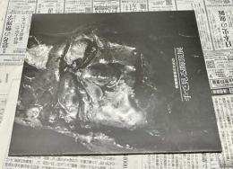 視覚障害者のための 手で見る陶芸展