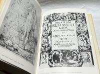 伊文)16世紀ヘルメス主義者 画家パルミジャニーノ　Il Parmigianino : un saggio sull'ermetismo nel Cinquecento(Biblioteca di storia dell'arte, 2）