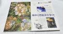隔月刊 あおもり草子 2008年8月号(通巻第182号)  風土に培われた自我と感性  青森女性画家の系譜