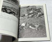 韓文)イ・ギョンモ写真集　激動期の現場：8・15 / 麗水・順天反乱 / 6・25  격동기의 현장 : 이경모 사진집 : 8・15/여수・순천반란/6.25 (（눈빛의 사진, 2）