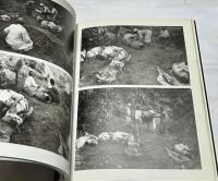 韓文)イ・ギョンモ写真集　激動期の現場：8・15 / 麗水・順天反乱 / 6・25  격동기의 현장 : 이경모 사진집 : 8・15/여수・순천반란/6.25 (（눈빛의 사진, 2）