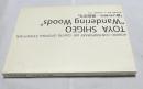 「戸谷成雄--さまよう森」 2001 国際芸術センター青森・開館記念展