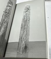 「戸谷成雄--さまよう森」 2001  国際芸術センター青森・開館記念展