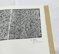 木の美 絵画と彫刻のあいだ展