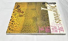 21st century prints  21世紀版画　1993年2月号 4巻2号(通巻27号) 特集：草間彌生