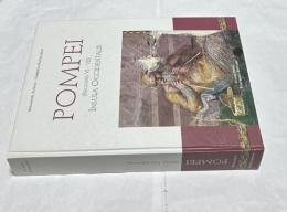  伊文)ポンペイ遺跡 第VI・VII地区のインスラ・オクシデンタリス(西のインスラ)の調査報告書  Pompei (regiones VI-VII) : Insula Occidentalis