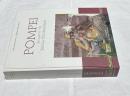  伊文)ポンペイ遺跡 第VI・VII地区のインスラ・オクシデンタリス(西のインスラ)の調査報告書  Pompei (regiones VI-VII) : Insula Occidentalis