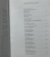  伊文)ポンペイ遺跡 第VI・VII地区のインスラ・オクシデンタリス(西のインスラ)の調査報告書  Pompei (regiones VI-VII) : Insula Occidentalis